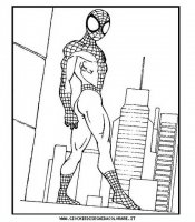 disegni_da_colorare/spiderman/spiderman_b12.JPG