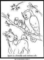 disegni_da_colorare/spirit_cavallo_selvaggio/spirit_cavallo_selvaggio_04.JPG