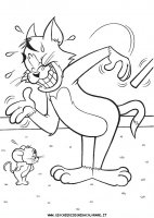 disegni_da_colorare/tom_jerry/tomjerry_a12.JPG