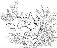 disegni_da_colorare/winnie_pooh/winnie_the_pooh_576.JPG