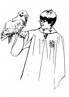 disegni_film/film_harry_potter_e_la_pietra_filosofale/disegni_harry_potter_1_14.jpg