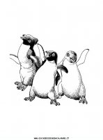 disegni_film/happy_feet_film_cartone/happyfeet_10.JPG