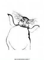 disegni_film/happy_feet_film_cartone/happyfeet_3.JPG