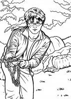 disegni_film/harry_potter_e_il_prigioniero_di_azkaban/disegni_colorare_harry_potter_3_22.jpg