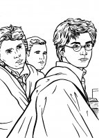 disegni_film/harry_potter_e_il_prigioniero_di_azkaban/disegni_colorare_harry_potter_3_24.jpg