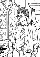 disegni_film/harry_potter_e_l_ordine_della_fenice/colorare_harry_potter_5_17.jpg