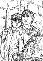 disegni_film/harry_potter_e_la_camera_dei_segreti/harry_potter_2_12.jpg