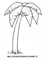 disegni_geografia/africa/palmera.JPG