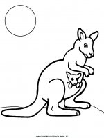 disegni_geografia/australia/australia_6.JPG