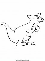 disegni_geografia/australia/kangaroo2.JPG