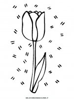 disegni_geografia/olanda/olanda_10.JPG