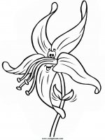 disegni_natura/fiori/fiori_15.JPG