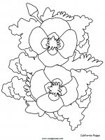 disegni_natura/fiori/fiori_28.JPG