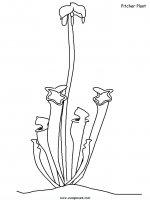 disegni_natura/fiori/fiori_3.JPG