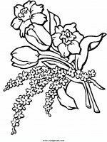 disegni_natura/fiori/fiori_43.JPG