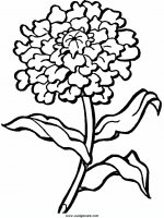 disegni_natura/fiori/fiori_44.JPG