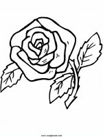 disegni_natura/fiori/fiori_46.JPG