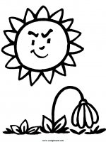disegni_natura/fiori/fiori_49.JPG
