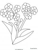 disegni_natura/fiori/fiori_56.JPG
