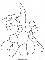 disegni_natura/fiori/fiori_64.JPG