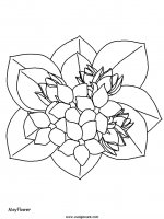 disegni_natura/fiori/fiori_7.JPG