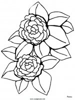 disegni_natura/fiori/fiori_70.JPG