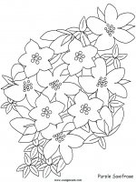disegni_natura/fiori/fiori_71.JPG