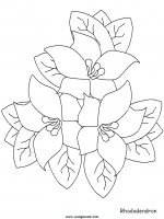 disegni_natura/fiori/fiori_73.JPG
