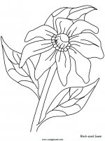 disegni_natura/fiori/fiori_77.JPG