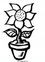 disegni_natura/fiori/sunflwr3.JPG