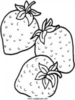 disegni_natura/frutta/22.JPG