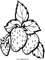 disegni_natura/frutta/26.JPG