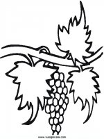 disegni_natura/frutta/29.JPG