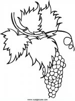 disegni_natura/frutta/30.JPG