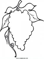 disegni_natura/frutta/31.JPG