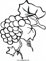 disegni_natura/frutta/32.JPG