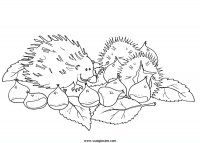 disegni_quattro_stagioni/autunno/autunno02.JPG