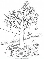 disegni_quattro_stagioni/autunno/autunno9650.JPG