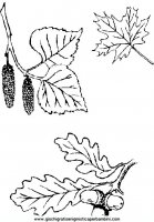 disegni_quattro_stagioni/autunno/autunno_x80.JPG