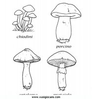 disegni_quattro_stagioni/autunno/funghi.JPG