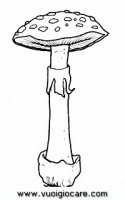 disegni_quattro_stagioni/autunno/fungo_tignosa_paglierina9650.JPG