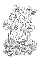 disegni_quattro_stagioni/primavera/disegni_primavera_2.jpg