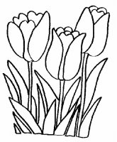 disegni_quattro_stagioni/primavera/disegni_primavera_4.jpg