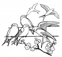 disegni_quattro_stagioni/primavera/disegni_primavera_6.jpg