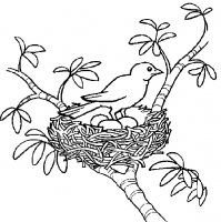 disegni_quattro_stagioni/primavera/disegni_primavera_7.jpg
