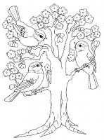 disegni_quattro_stagioni/primavera/disegni_primavera_8.jpg