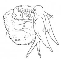 disegni_quattro_stagioni/primavera/primavera_9.gif