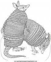 disegni_religione/noe/noe0.JPG