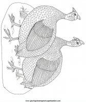 disegni_religione/noe/noe10.JPG