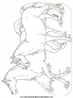 disegni_religione/noe/noe12.JPG
